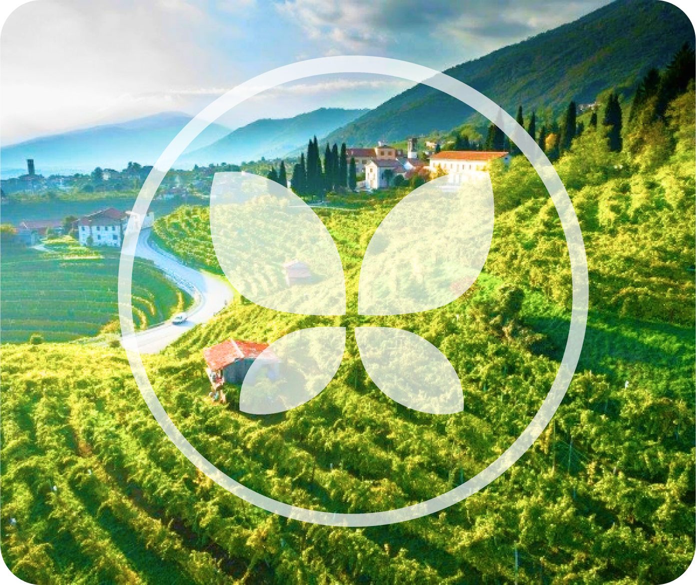 Bella Principessa Prosecco-Logo mit einem Schmetterling in der Mitte.